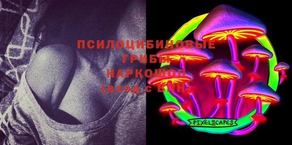 ПСИЛОЦИБИНОВЫЕ ГРИБЫ Алзамай
