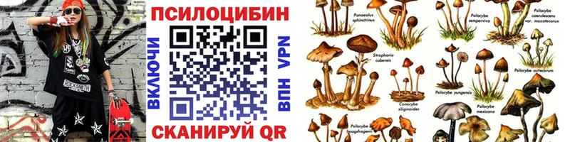купить наркотики цена  площадка формула  Галлюциногенные грибы MAGIC MUSHROOMS  Курлово 